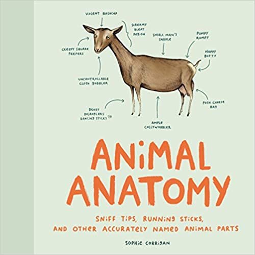 ダウンロード  Animal Anatomy: Sniff Tips, Running Sticks, and Other Accurately Named Animal Parts 本