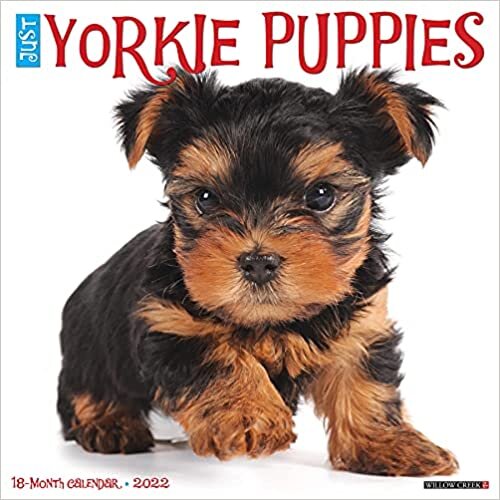 ダウンロード  Just Yorkie Puppies 2022 Wall Calendar (Dog Breed) 本