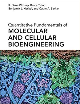 تحميل Quantitative Fundamentals of Molecular and Cellular Bioengineering