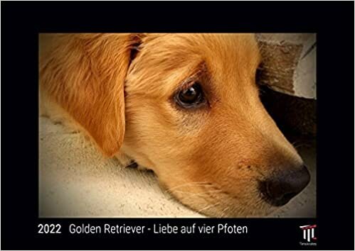 ダウンロード  Golden Retriever - Liebe auf vier Pfoten 2022 - Black Edition - Timokrates Kalender, Wandkalender, Bildkalender - DIN A3 (42 x 30 cm) 本