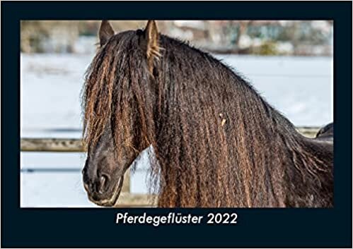 Pferdegefluester 2022 Fotokalender DIN A5: Monatskalender mit Bild-Motiven von Haustieren, Bauernhof, wilden Tieren und Raubtieren ダウンロード