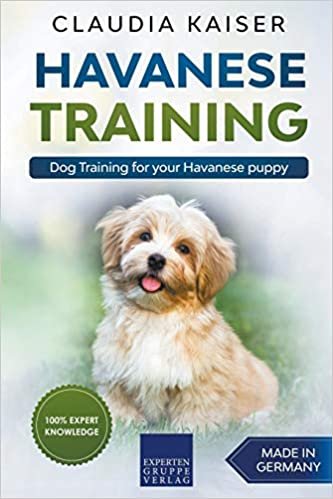 indir Havanese Training: Dog Training for Your Havanese Puppy
