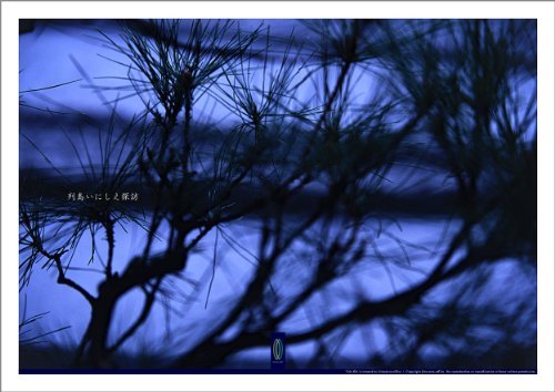 銀閣寺 2 #005 : 写真ポスター Art Photography Posters / 列島いにしえ探訪 / 京都奈良