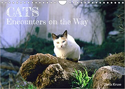 Cats - Encounters on the Way (Wall Calendar 2023 DIN A4 Landscape): In southern Europe cats can be found everywhere (Monthly calendar, 14 pages ) ダウンロード