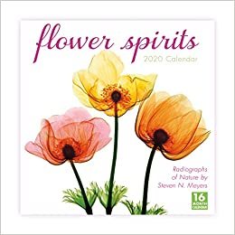 Flower Spirits 2020 Calendar: Radiographs of Nature by Steven N. Meyers