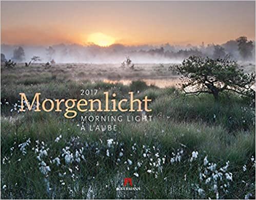 ダウンロード  Morgenlicht 2023 本
