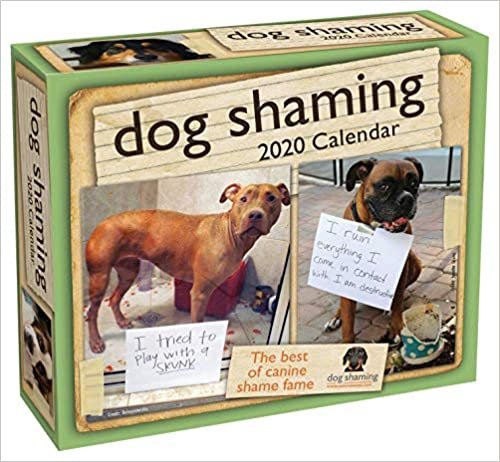 ダウンロード  Dog Shaming 2020 Day-to-Day Calendar 本