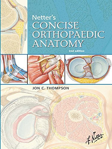 ダウンロード  Netter's Concise Orthopaedic Anatomy E-Book, Updated Edition (Netter Basic Science) (English Edition) 本