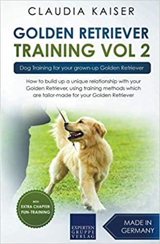 indir Golden Retriever Training Vol. 2: Dog Training for your grown-up Golden Retriever