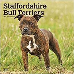 Staffordshire Bull Terriers - Staffordshire Bull Terrier 2021 - 16-Monatskalender mit freier DogDays-App: Original BrownTrout-Kalender [Mehrsprachig] [Kalender] (Wall-Kalender) indir