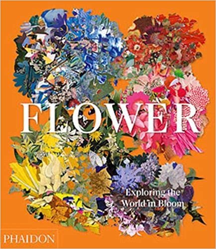 ダウンロード  Flower: Exploring the World in Bloom 本