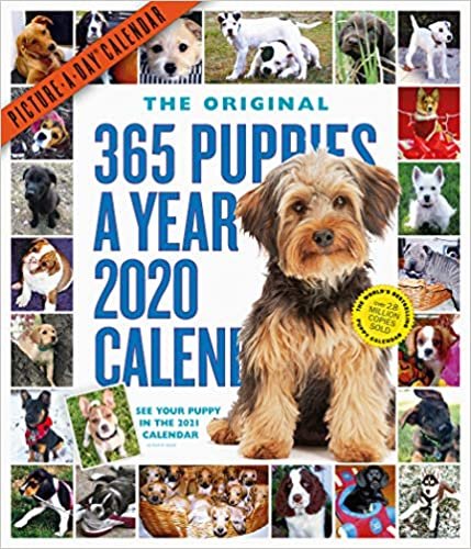 365 Puppies-a-Year Picture-a-Day 2020 Calendar