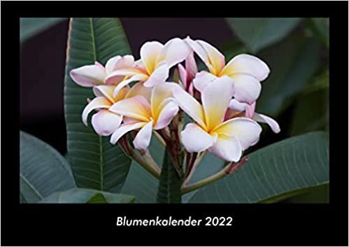 Blumenkalender 2022 Fotokalender DIN A3: Monatskalender mit Bild-Motiven aus Fauna und Flora, Natur, Blumen und Pflanzen ダウンロード