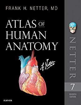 ダウンロード  Atlas of Human Anatomy E-Book: Digital eBook (Netter Basic Science) (English Edition) 本