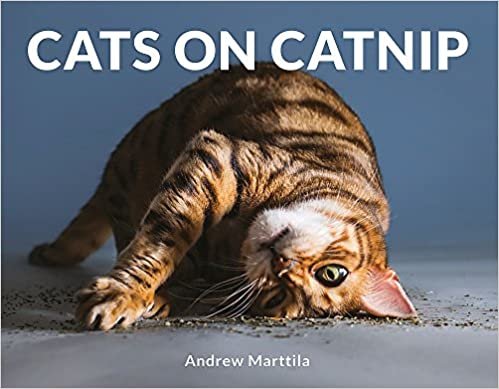 ダウンロード  Cats on Catnip 本