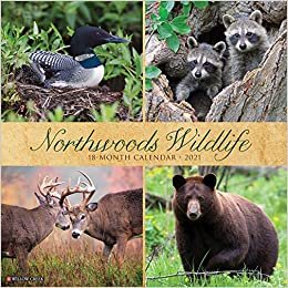 Northwoods Wildlife 2021 Calendar indir
