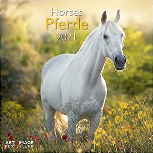 Pferde 2021 - Wand-Kalender - Broschüren-Kalender - A&I - 30x30 - 30x60 geöffnet - Tier-Kalender: Horses indir