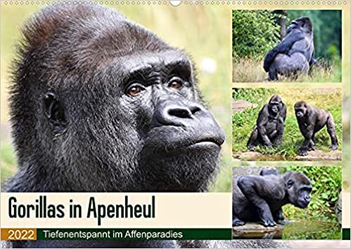 ダウンロード  Flachlandgorillas in Apenheul (Wandkalender 2022 DIN A2 quer): Gorilla-Siesta im Affenparadies (Monatskalender, 14 Seiten ) 本