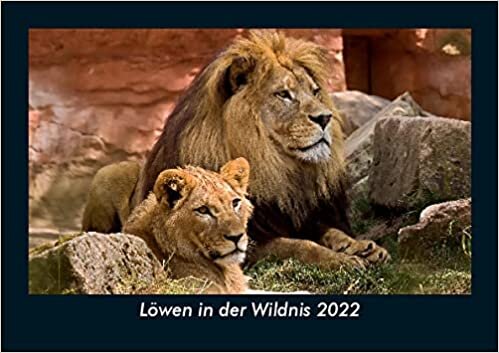 ダウンロード  Loewen in der Wildnis 2022 Fotokalender DIN A5: Monatskalender mit Bild-Motiven von Haustieren, Bauernhof, wilden Tieren und Raubtieren 本