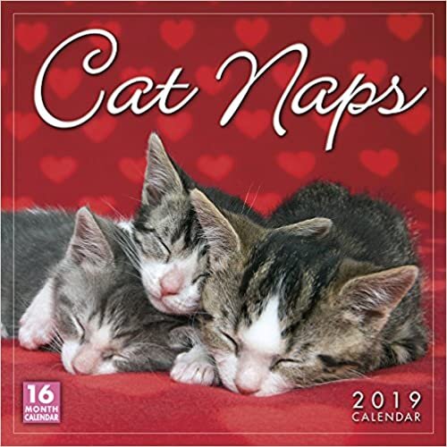 ダウンロード  Cat Naps 2019 Calendar 本
