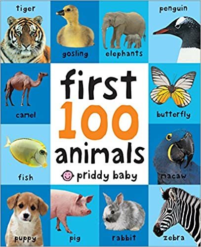 First 100 Animals (First 100 Soft to Touch)