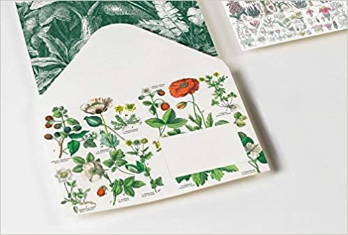 Botanical: Envelope Set (C6): 20 C6 Envelopes (Set) indir