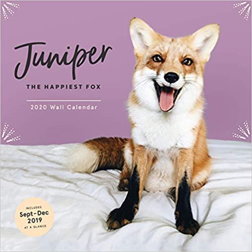 Juniper: The Happiest Fox 2020 Wall Calendar: (Animal Calendar 2020, 2020 Office Wall Calendar, Fox Gifts for Women and Men)