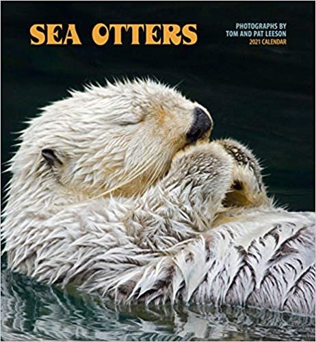 ダウンロード  Sea Otters 2021 Calendar 本