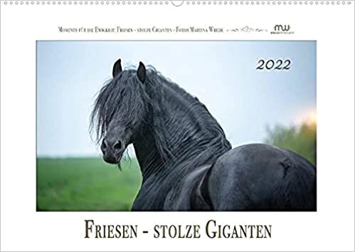 Friesen - stolze Giganten (Wandkalender 2022 DIN A2 quer): Friesen - schwarze Pferdeschoenheiten (Monatskalender, 14 Seiten )