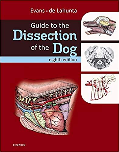 ダウンロード  Guide to the Dissection of the Dog (.Net Developers) 本