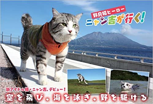 野良猫ヒーロー ニャン吉が行く!: かぎしっぽのアイドル猫「ニャン吉」感動の写真集
