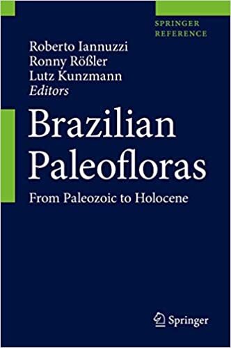 Brazilian Paleofloras: From Paleozoic to Holocene