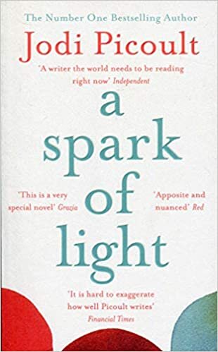 A Spark of Light: THE NUMBER ONE SUNDAY TIMES BESTSELLER indir