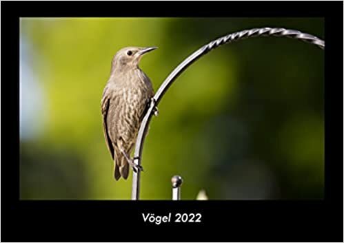 ダウンロード  Voegel 2022 Fotokalender DIN A3: Monatskalender mit Bild-Motiven von Haustieren, Bauernhof, wilden Tieren und Raubtieren 本