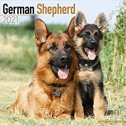 ダウンロード  German Shepherd 2021 Wall Calendar 本