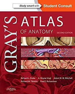 Gray's Atlas of Anatomy E-Book (Gray's Anatomy) (English Edition)