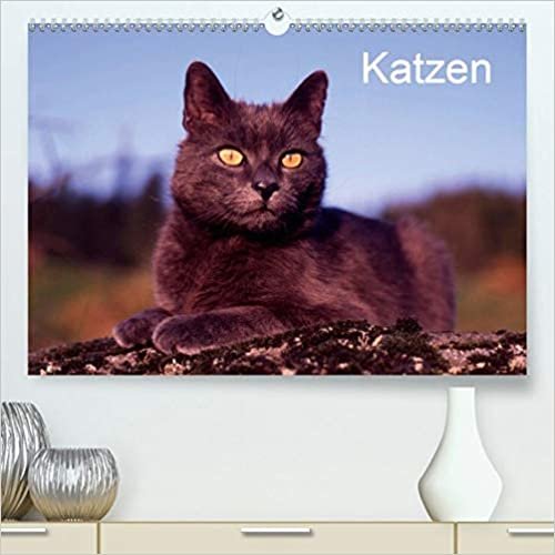 Katzen (Premium, hochwertiger DIN A2 Wandkalender 2021, Kunstdruck in Hochglanz): Ein Kalender von Werner Layer. (Monatskalender, 14 Seiten ) ダウンロード
