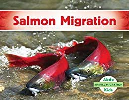 Salmon Migration: children s books ages 1-3 (English Edition)