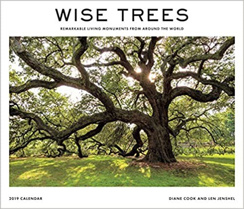 Wise Trees 2019 Wall Calendar: Remarkable Living Monuments from Around the World