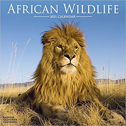 ダウンロード  African Wildlife 2021 Wall Calendar 本