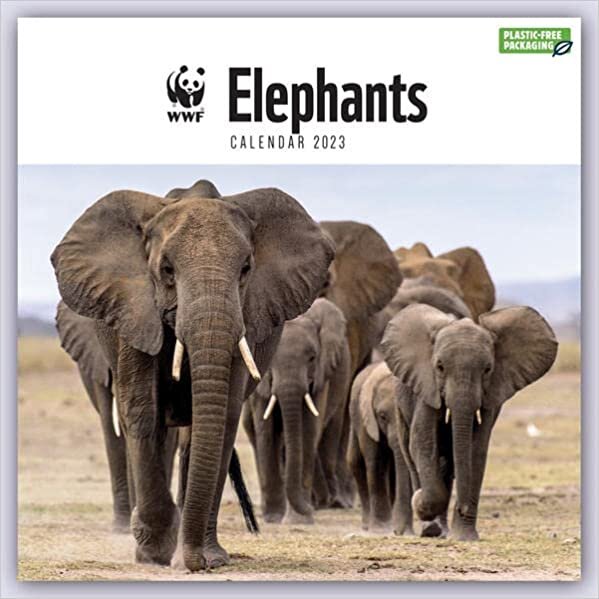 ダウンロード  WWF Elephants - Elefanten 2023: Original Carousel-Kalender [Mehrsprachig] [Kalender] 本