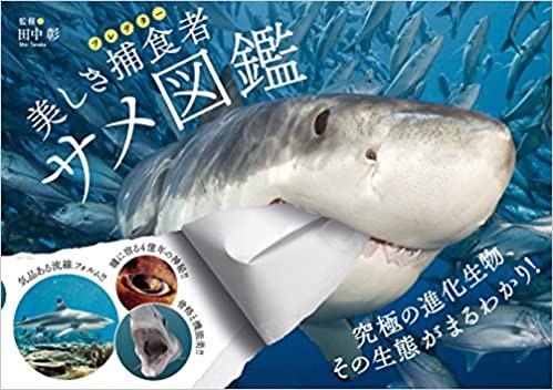ダウンロード  美しき捕食者 サメ図鑑 本