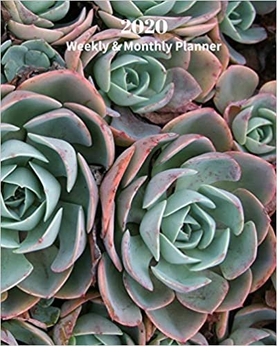 2020 Weekly and Monthly Planner: Succulent plants - Monthly Calendar with U.S./UK/ Canadian/Christian/Jewish/Muslim Holidays– Calendar in Review/Notes 8 x 10 in.-House plants Garden Indoor indir