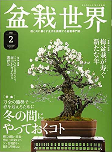 ダウンロード  盆栽世界 2021年 02 月号 [雑誌] 本