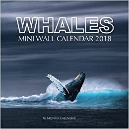 Whales Mini Wall Calendar 2018: 16 Month Calendar