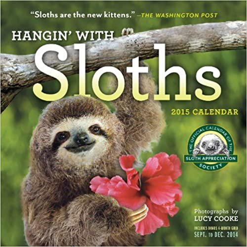 Hangin' With Sloths 2015 Calendar