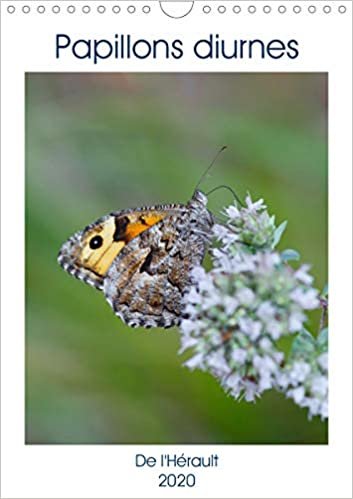 Papillons diurnes de l'Hérault (Calendrier mural 2020 DIN A4 vertical): De belles photos de papillons pour chaque mois de l'année (Calendrier mensuel, 14 Pages ) (Calvendo Nature) indir