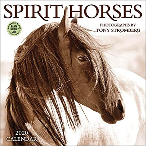 ダウンロード  Spirit Horses 2020 Calendar 本