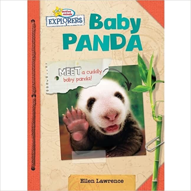 تحميل Baby Panda