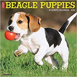 ダウンロード  Just Beagle Puppies 2021 Calendar 本